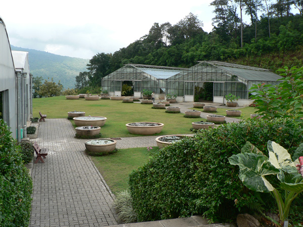 queen's botanic garden